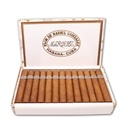 Rafael Gonzalez Perlas  - Box of 25