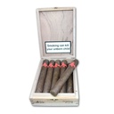 Furia Tisiphone - Box of 10