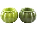Ashtray - Green Cactus Light/Dark - 27020
